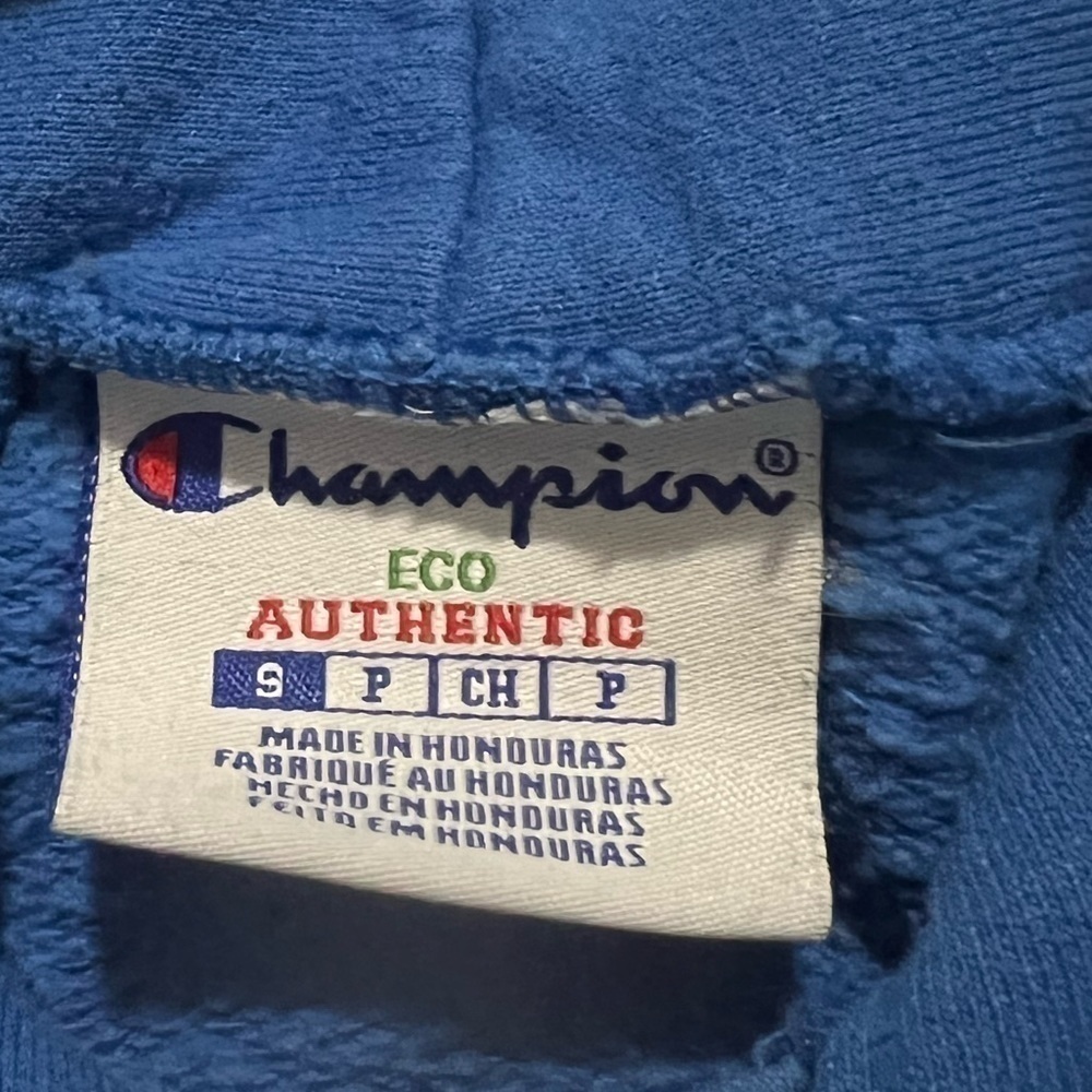 Champion WTB Earl Men’s Small Blue Hoodie, Teen Back To School, VGUC - Picture 4 of 8